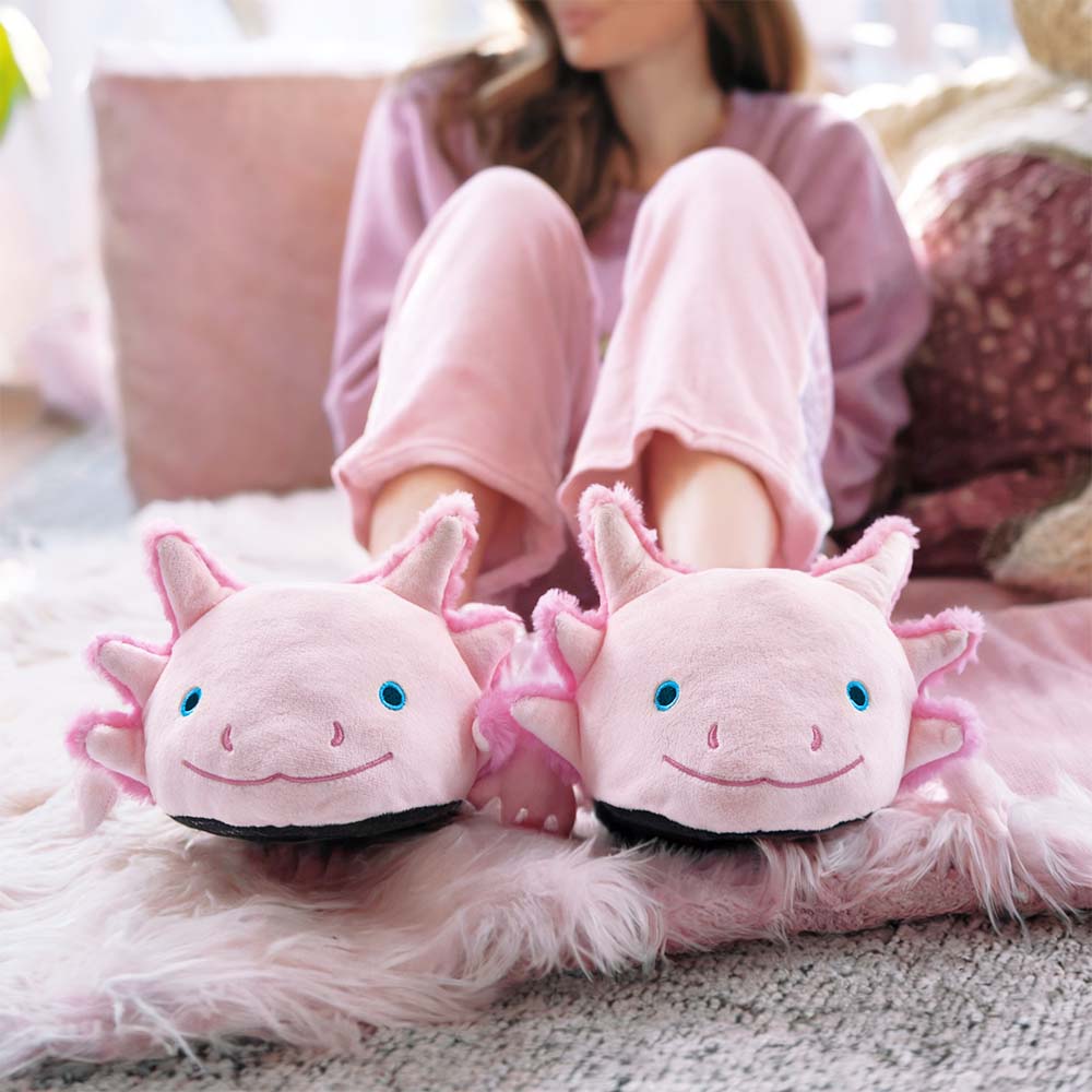 Axolotl Hausschuhe, Witzige Geschenke, Geschenk, Geschenkidee