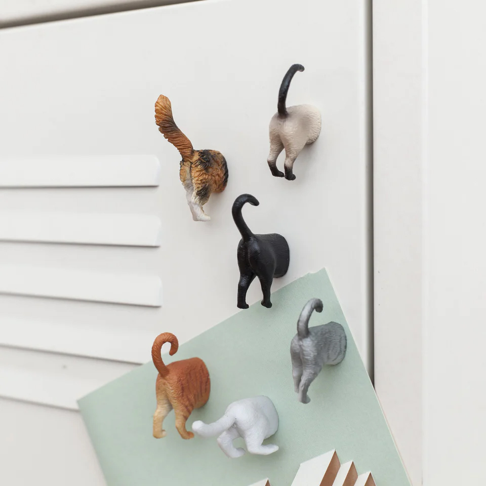 Katzen-Hintern Kühlschrankmagnete 6er-Set, Witzige Geschenke, Romantische Geschenke, Hochzeitsgeschenk, Geschenk, Geschenkidee