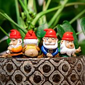 Freche Mini-Gartenzwerge 4er-Set