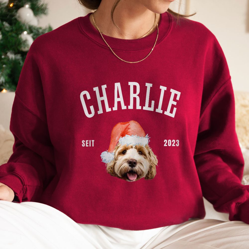 Personalisierbarer Pullover mit Haustier und Weihnachtsmütze
