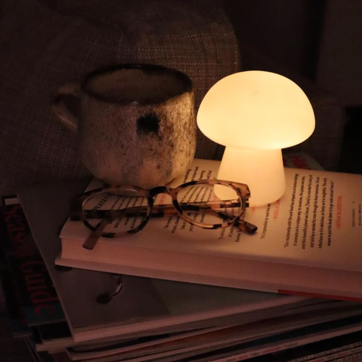 Pilz-Leuchten - Mittel