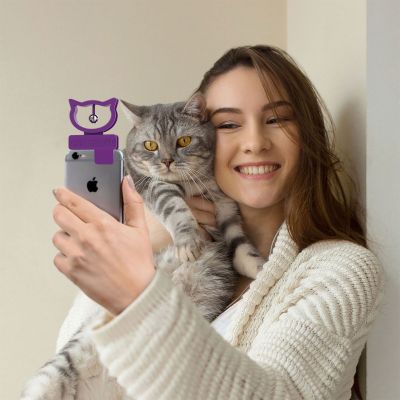 Katzen-Selfie Aufsatz