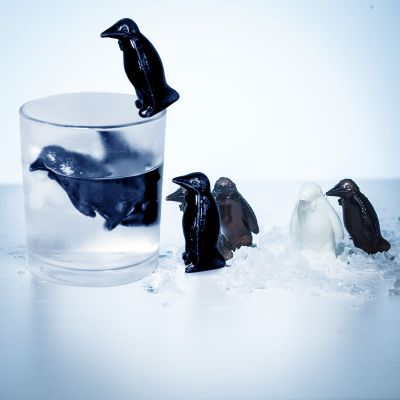 Pinguin Coolers