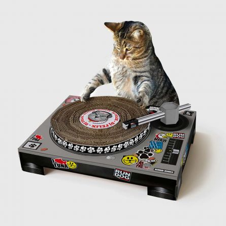 Kratz-Plattenspieler für Katzen