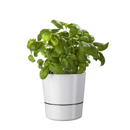 Herb Hydro Pot Blumentöpfe
