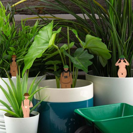 Nackte Wanderer im Blumentopf