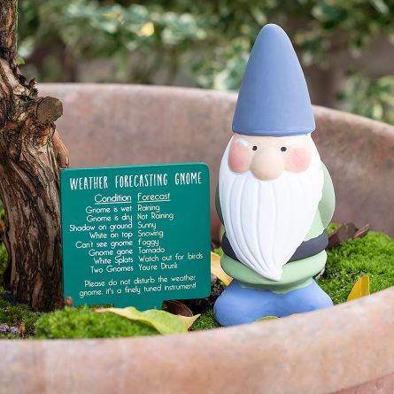 Wettervorhersage Gartenzwerg
