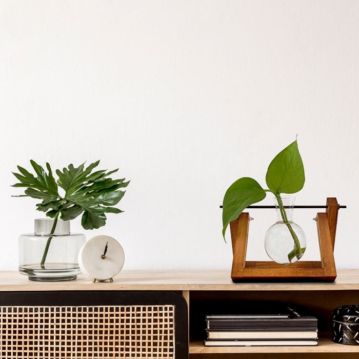Hydro Vase main product photo