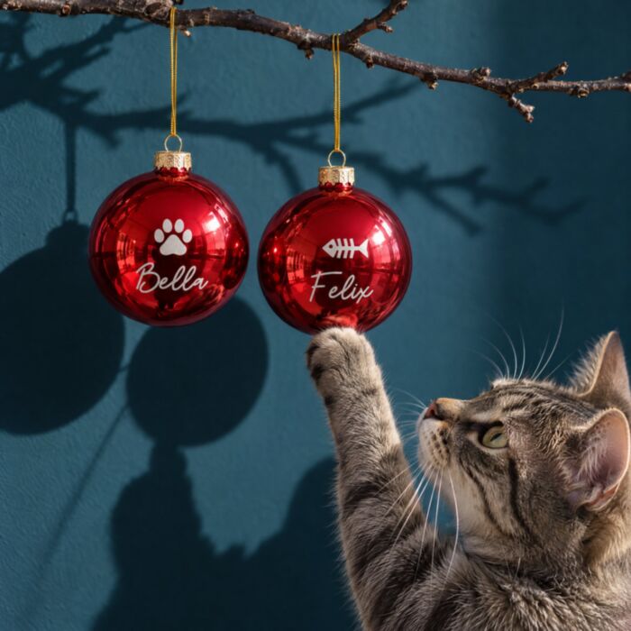 Personalisierbare Christbaumkugeln mit Haustier – 2er-Set