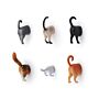 Katzen-Hintern Kühlschrankmagnete 6er-Set