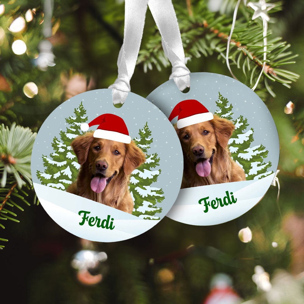 Personalisierbare Acryl Anhänger 2er Set Haustier mit Name, Fotogeschenk, Romantische Geschenke, Hochzeitsgeschenk, Kleine Geschenke, Geschenk, Geschenkidee