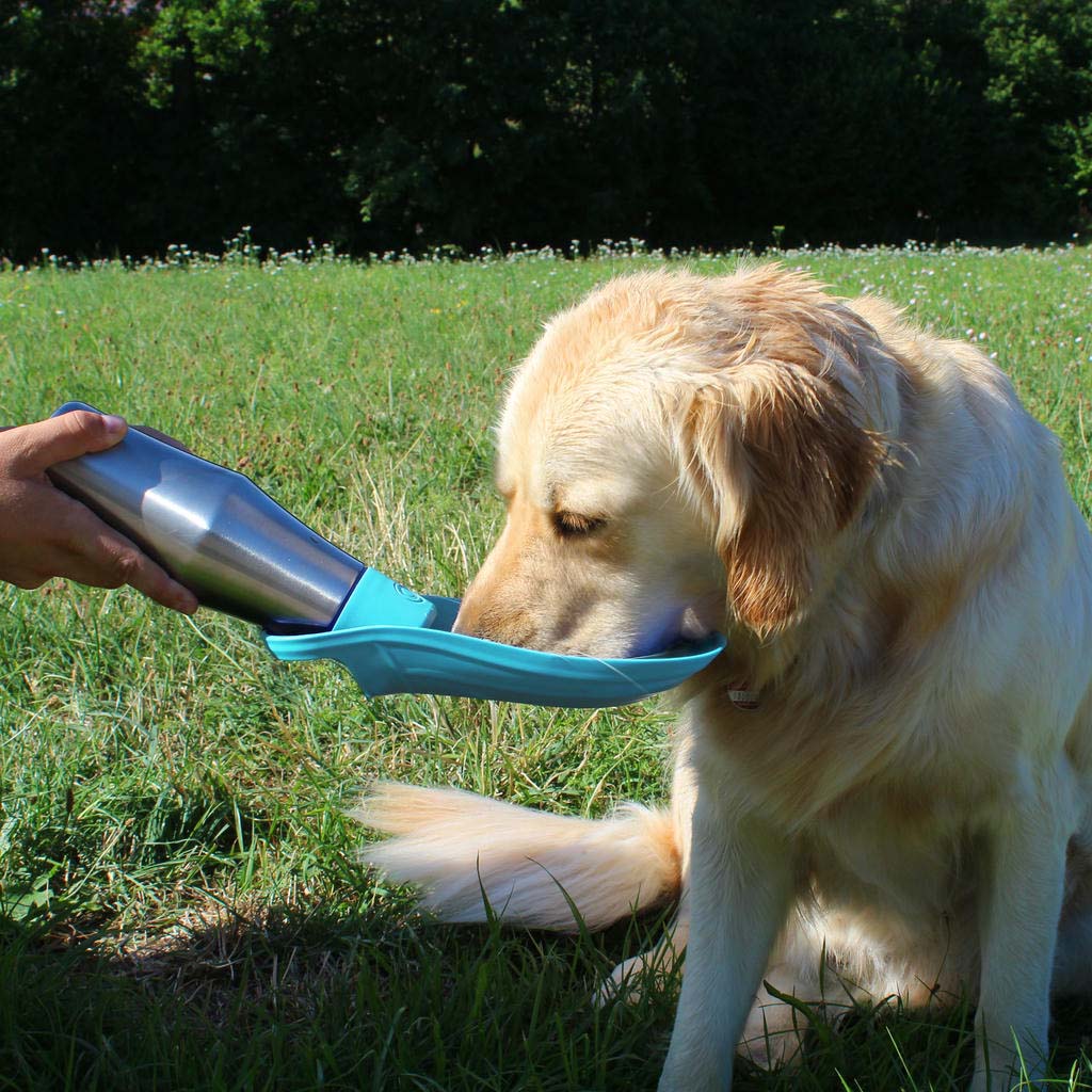 Haustier Wasserflasche, Romantische Geschenke, Hochzeitsgeschenk, Geschenk, Geschenkidee