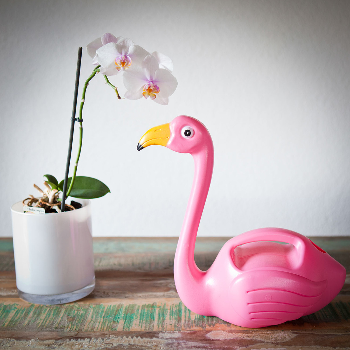 Flamingo Giesskanne