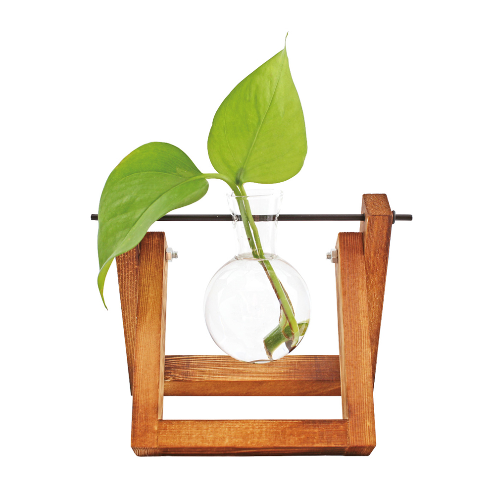 Hydro Vase