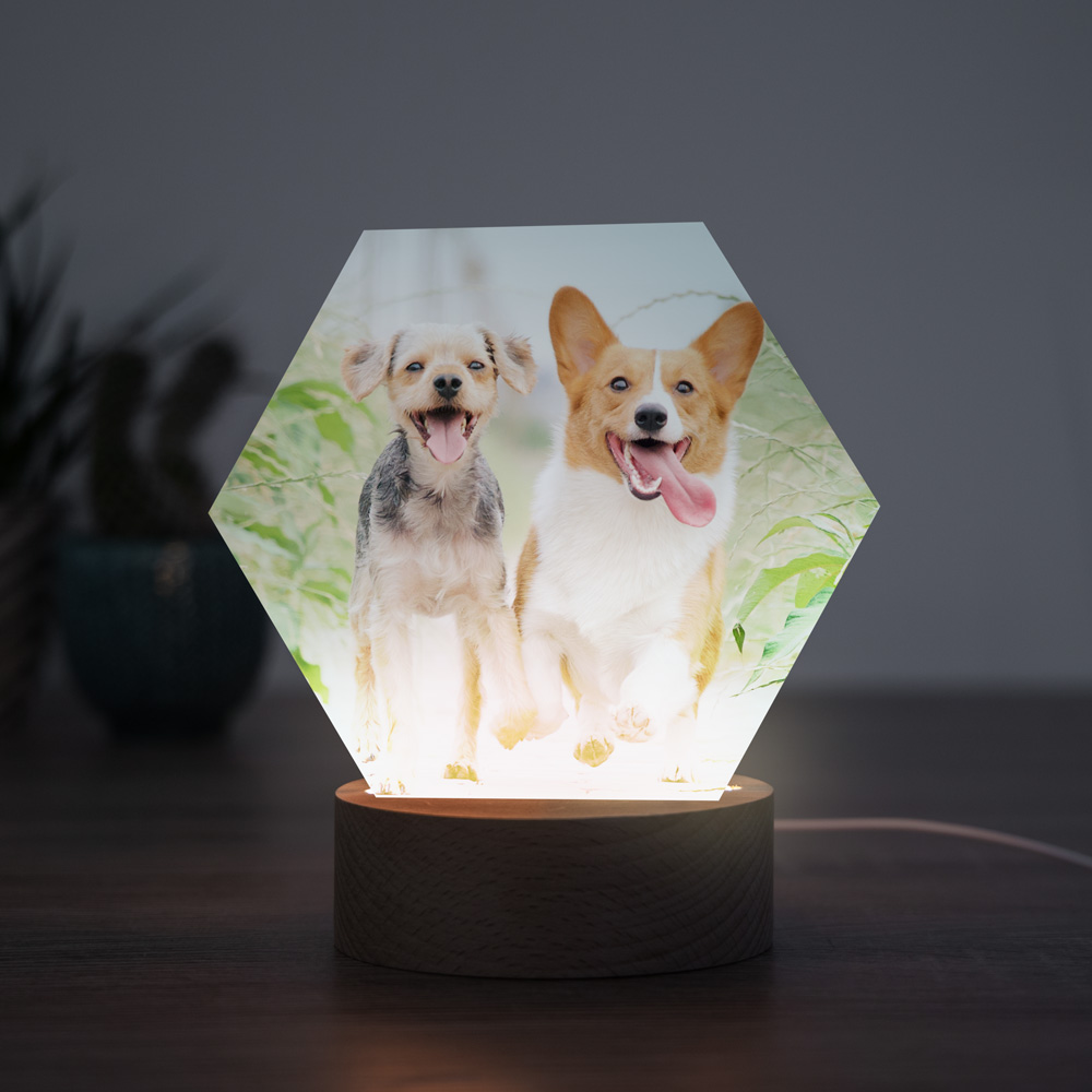 tiergeschenke personalisierbare led leuchte mit foto