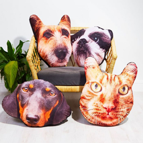 Tiere