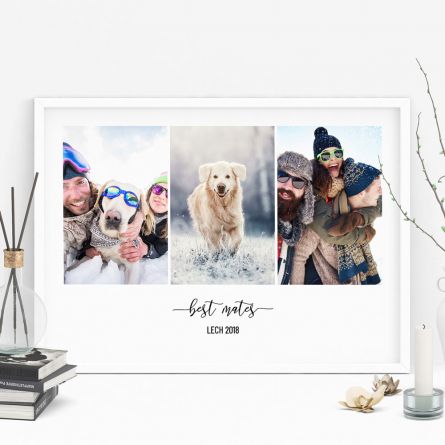 Poster mit 3 Bildern und Text