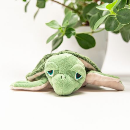 Wasserschildkröte Wärmekissen