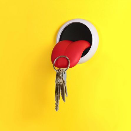 Magnetischer Schlüsselhalter Zunge