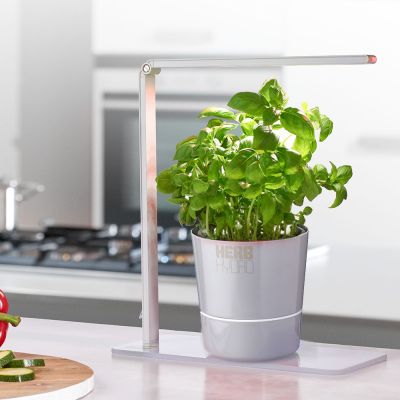 Home Gadgets - Herb Booster Kräuterlampe